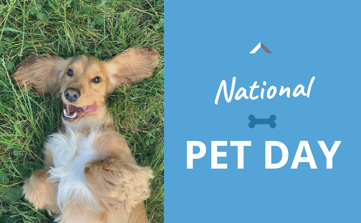 Let's celebrate National Pet Day!