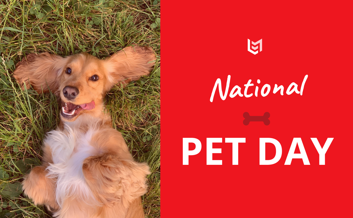 Let's celebrate National Pet Day!