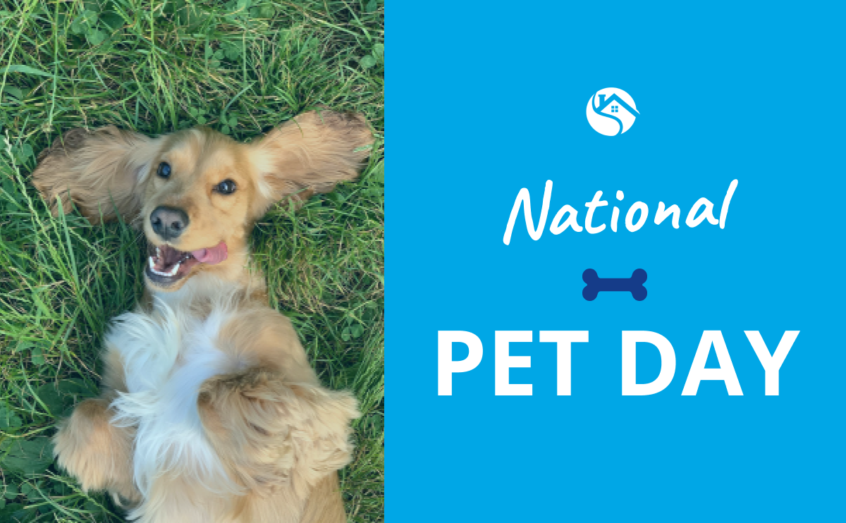 Let's celebrate National Pet Day!